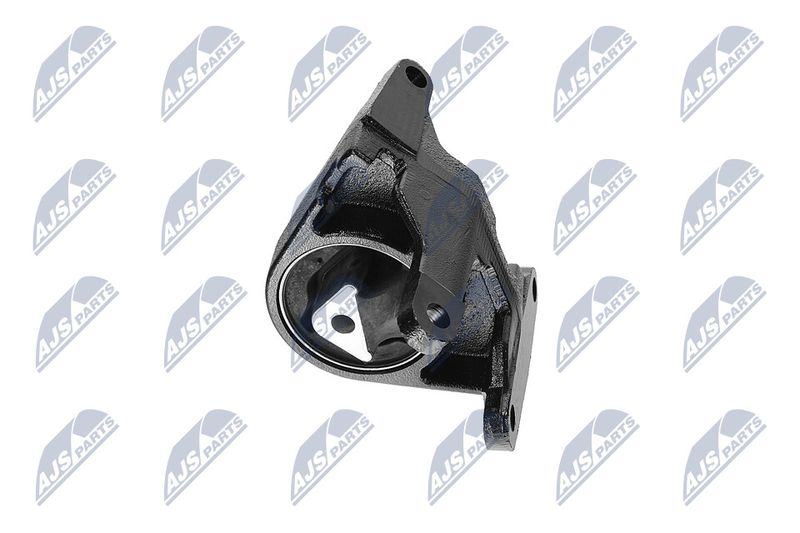 Paigutus, Mootor, NTY ZPS-CH-087