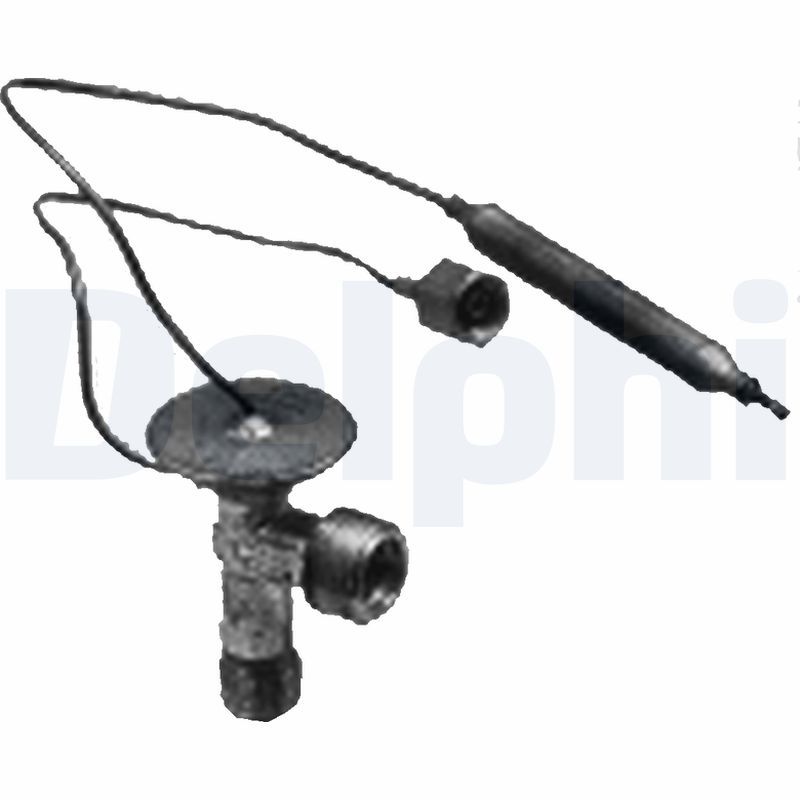 TSP0585031.JPG