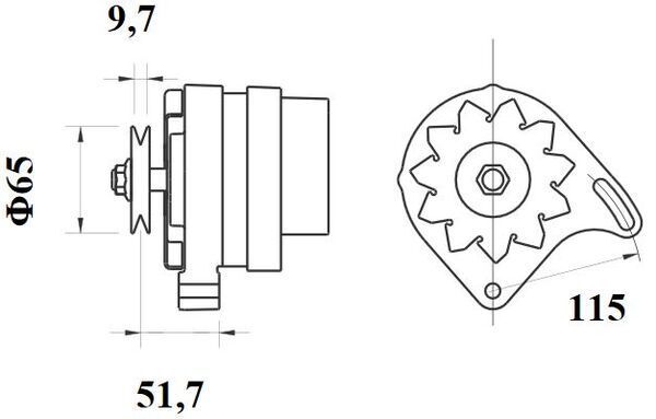  MG21