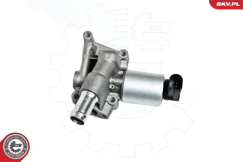 ESEN SKV 14SKV030 EGR Valve