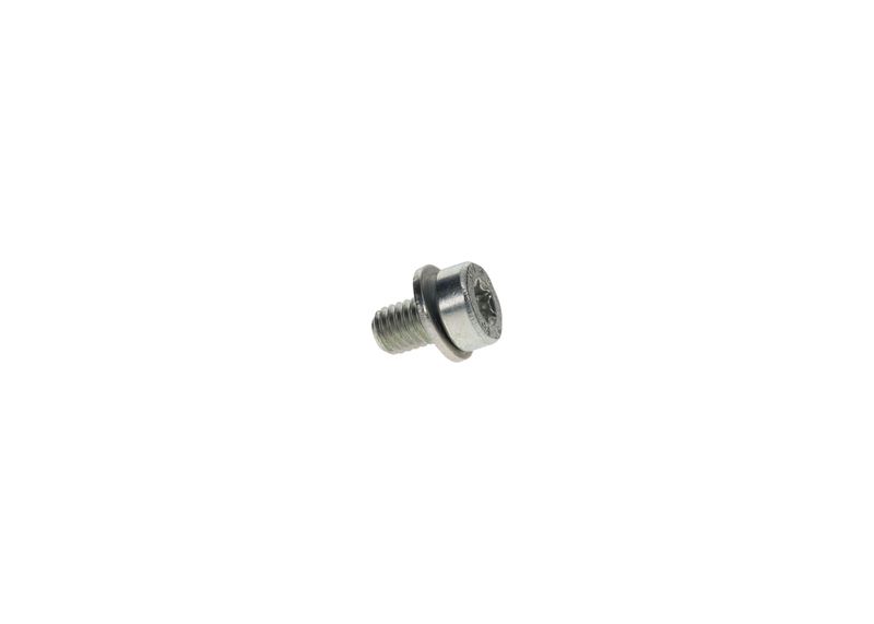 BOSCH F002D13663 Screw