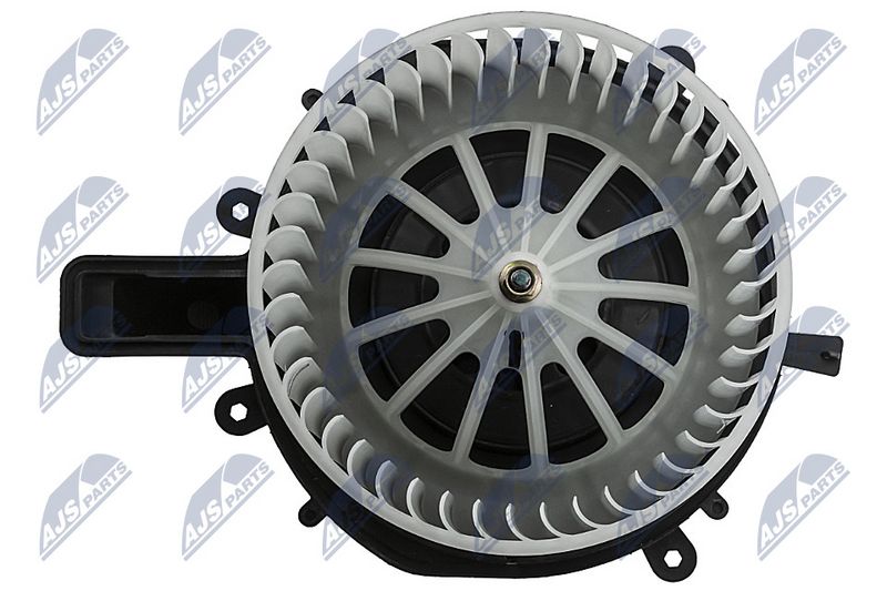 Salongipuhur, NTY EWN-WW-020