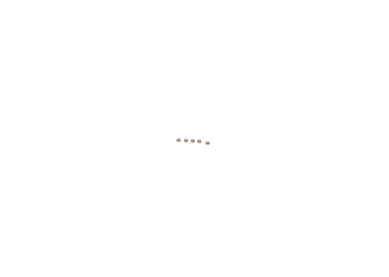 BOSCH F 00Z C99 724 Repair Kit, common rail system