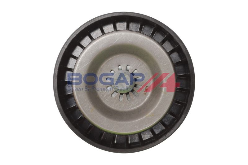 Polea para Correa Poly V BOGAP C1320108 - 3