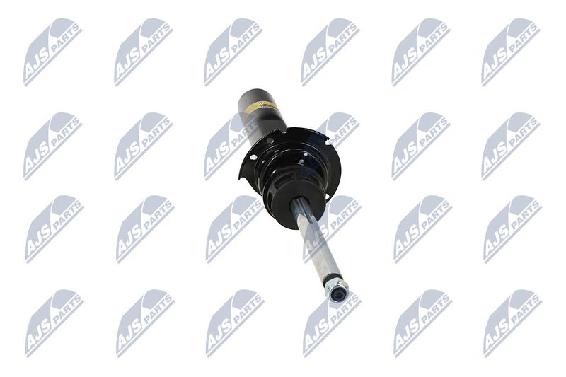 Amort, NTY A-BM-087