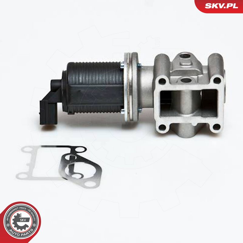 ESEN SKV 14SKV012 EGR Valve