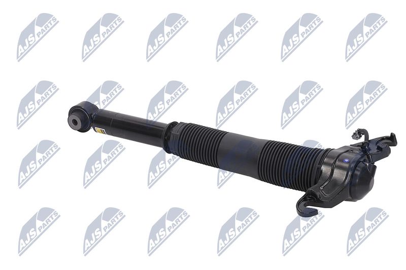 Amort, NTY A-LR-022