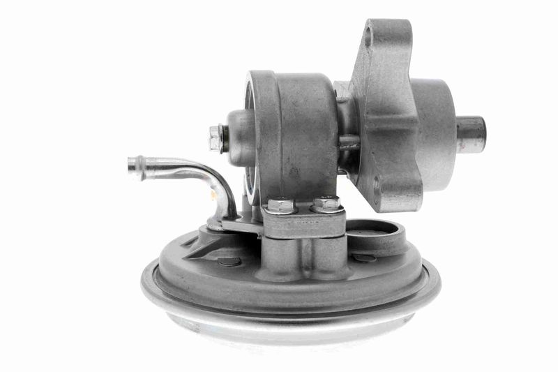 VAICO V25-1908 Mounting, engine