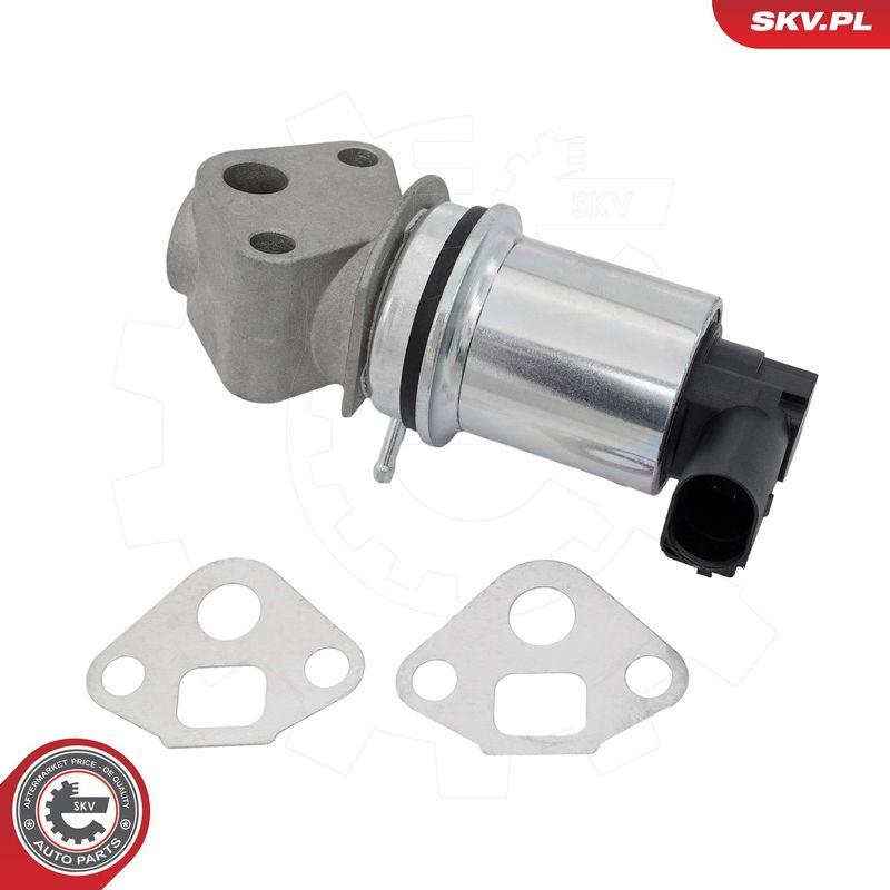 EGR-klapp, ESEN SKV 14SKV293
