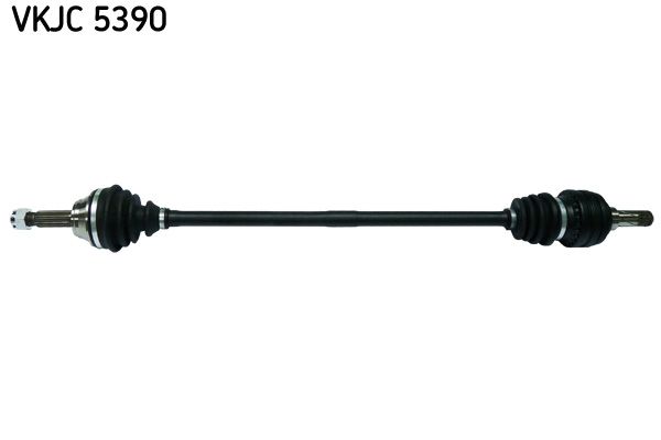VKJC 5390.JPG