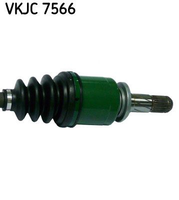 VKJC 7566_3.JPG