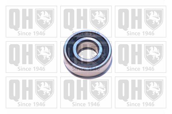 QH_XB9922.JPG
