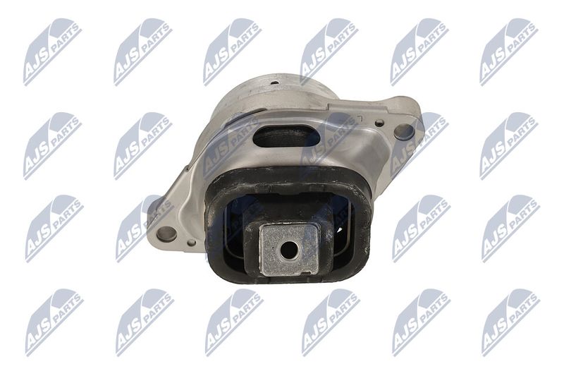 Paigutus, Mootor, NTY ZPS-LR-007