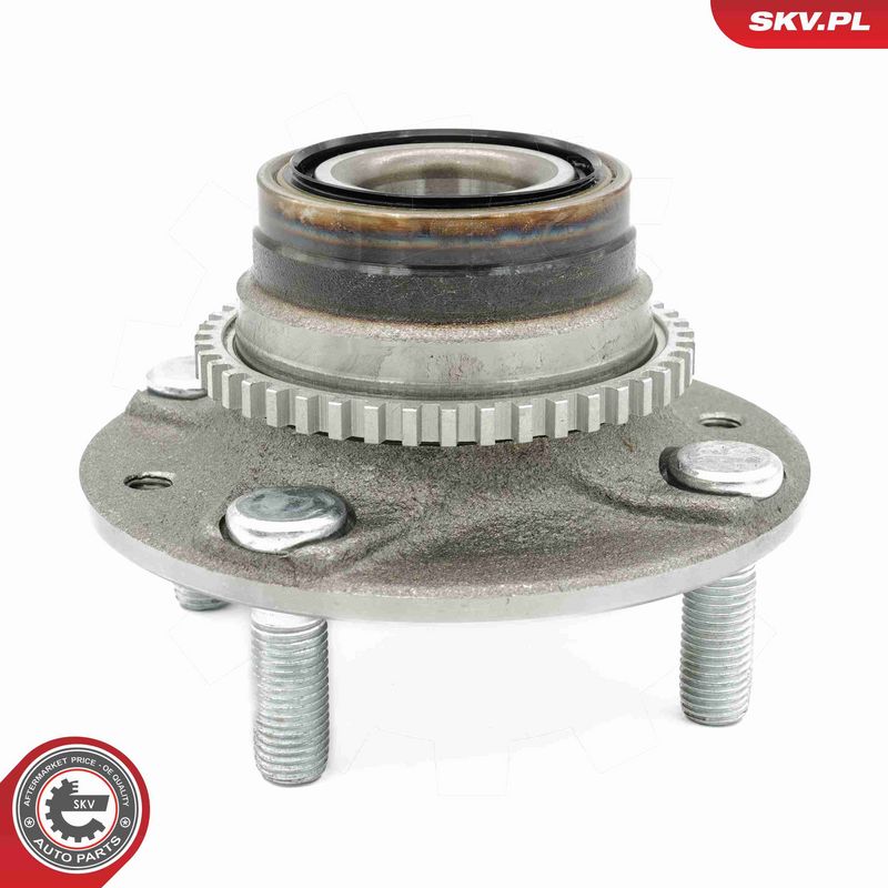 ESEN SKV 29SKV618 Wheel Bearing Kit