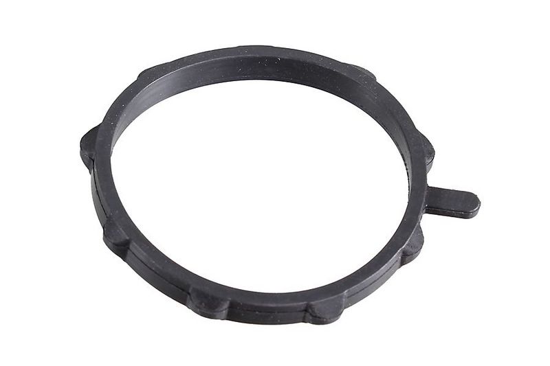 METZGER AUTOTEILE 2430098 - Seal Ring