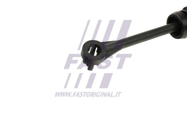 FT68049_2_1.JPG