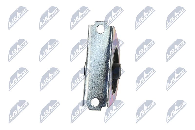 Paigutus, Mootor, NTY ZPS-MS-009