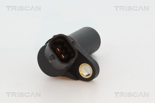TRIS885524107_2.JPG