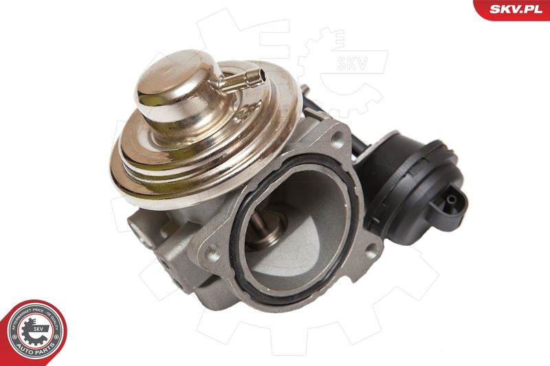 ESEN SKV 14SKV082 EGR Valve