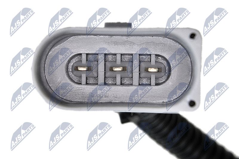 Andur, Nukkvõllipositsioon, NTY ECP-AU-017