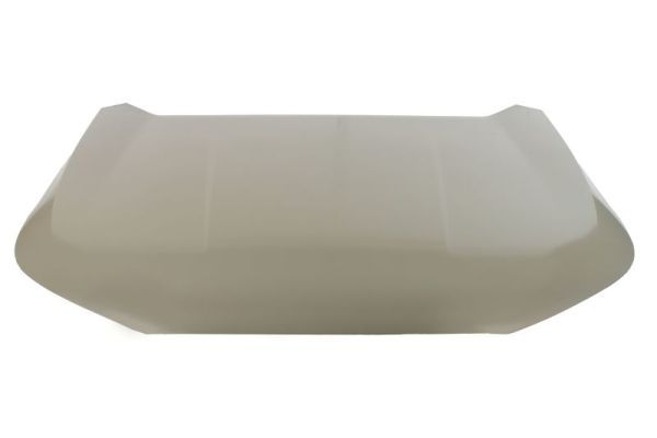 Product Motora pārsegs BLIC 6803-00-8004280P Image
