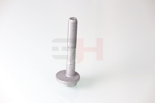 GH GH-399901 Camber Correction Screw