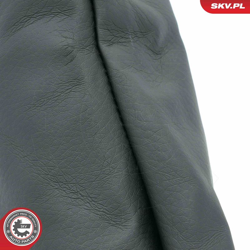 Käigukanginupp, ESEN SKV 63SKV918