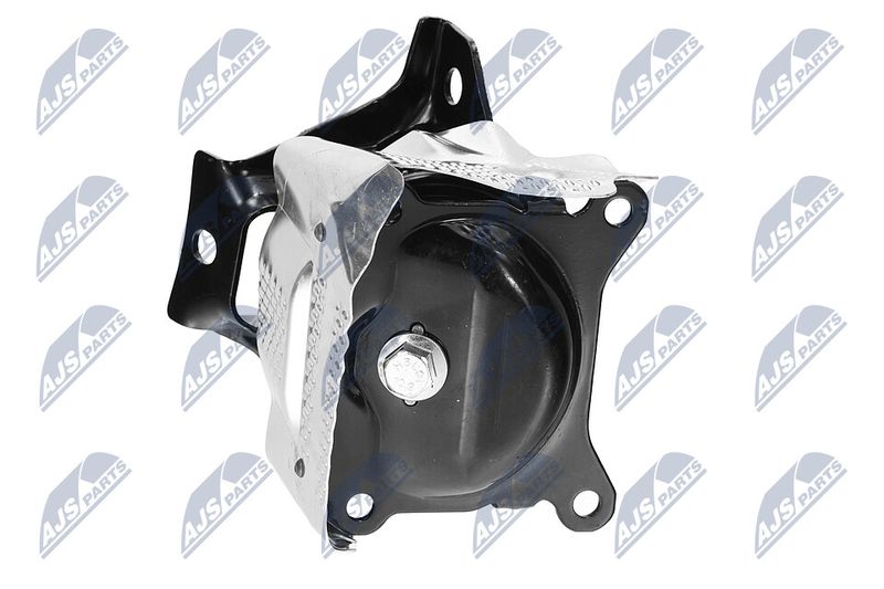 Paigutus, Mootor, NTY ZPS-CH-150