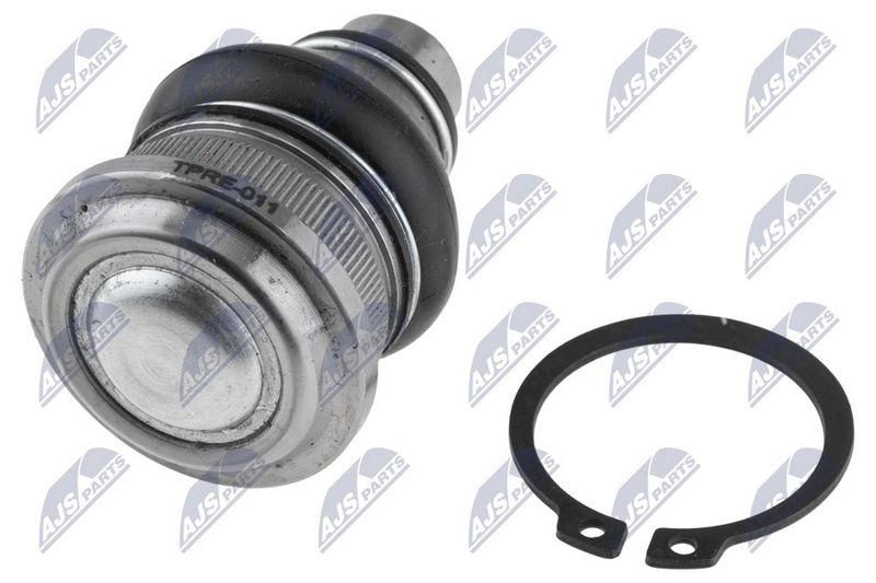 Kande-, juhtliigend, NTY ZSD-RE-011