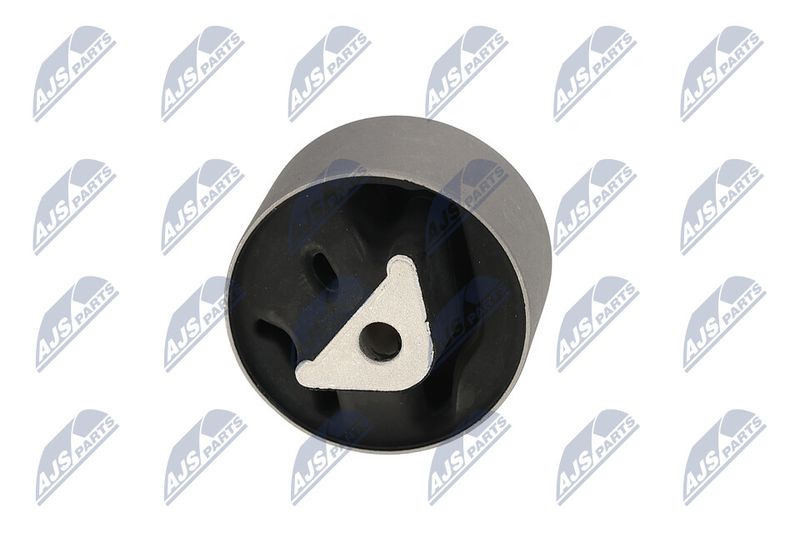 Paigutus, Mootor, NTY ZPS-CH-039