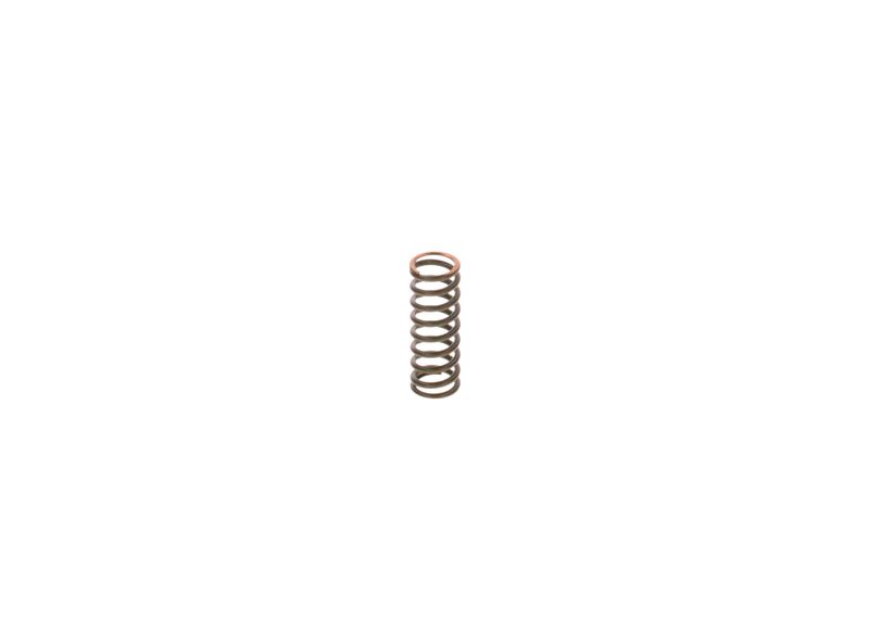 BOSCH 2444618009 Spring