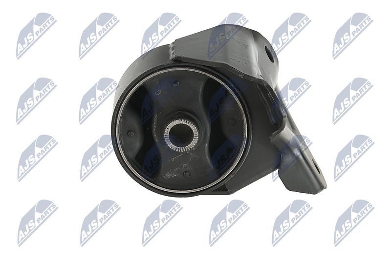 Paigutus, Mootor, NTY ZPS-KA-313