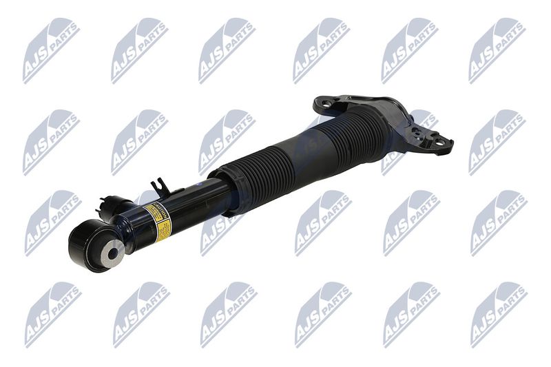 Amort, NTY A-LR-036
