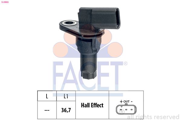 9.0865-fa.JPG
