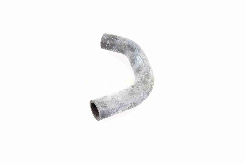 VAICO V10-0065 Radiator Hose