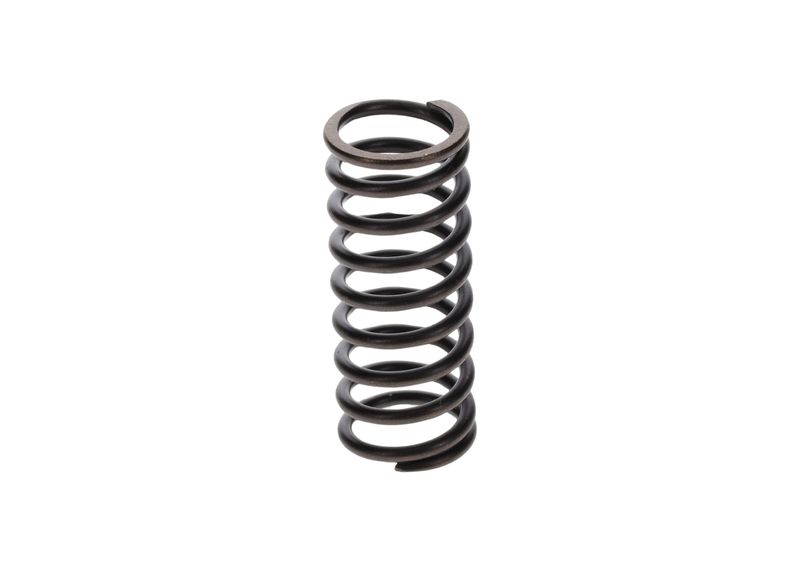 BOSCH 2414617001 Spring