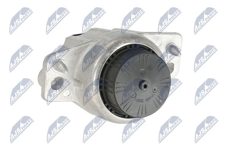 Paigutus, Mootor, NTY ZPS-JG-006