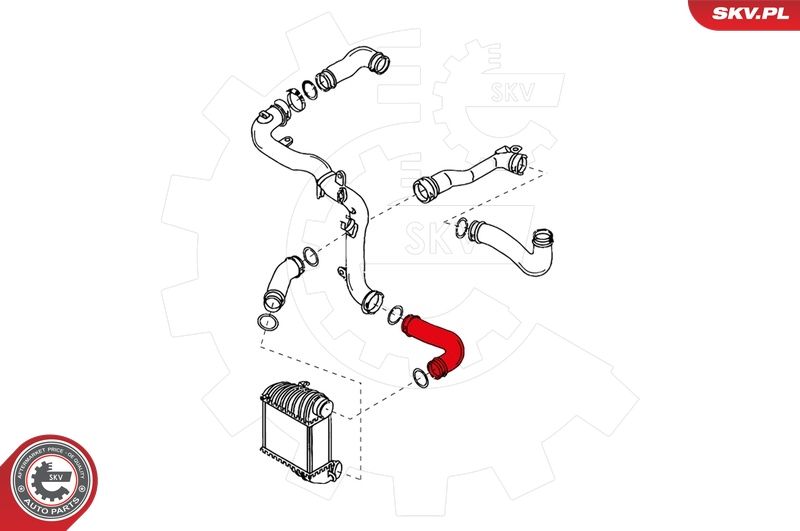 ESEN SKV 24SKV161 Charge Air Hose