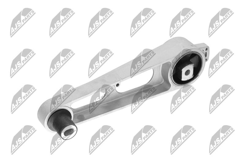 Paigutus, Mootor, NTY ZPS-CH-011