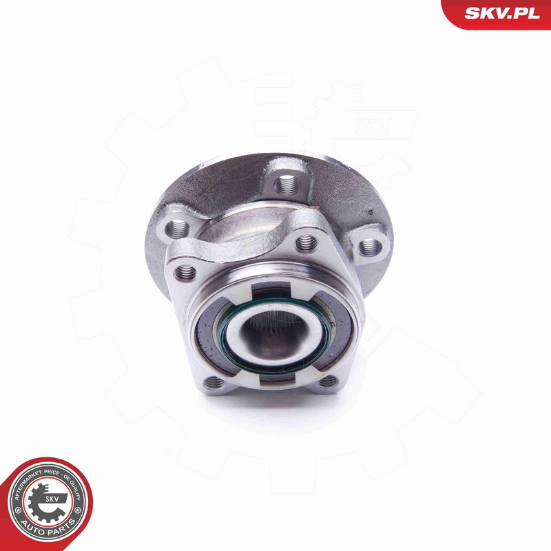 ESEN SKV 29SKV179 Wheel Bearing Kit