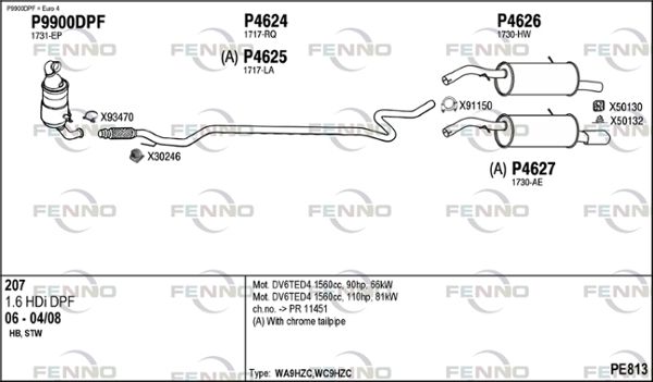 PE813.JPG
