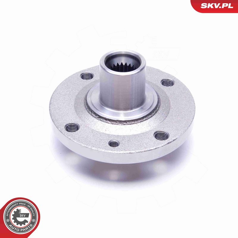 ESEN SKV 29SKV524 Wheel Bearing Kit