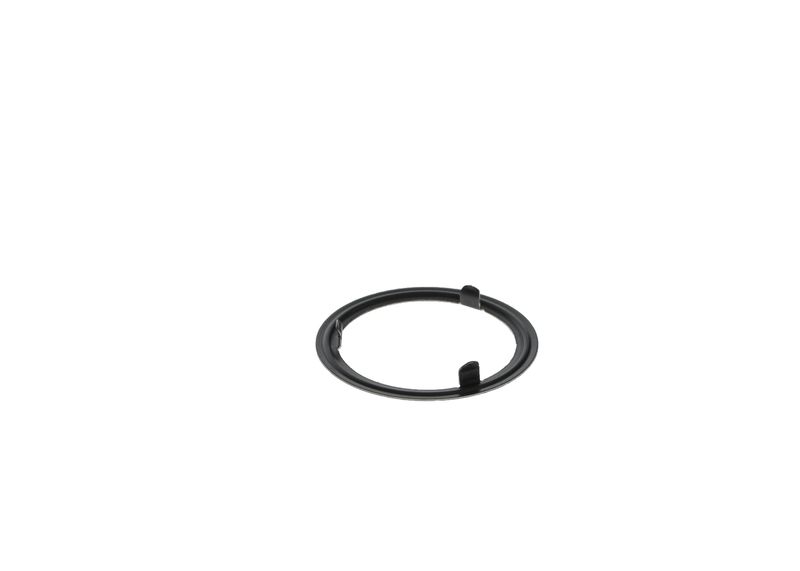BOSCH F 01C 320 095 Seal