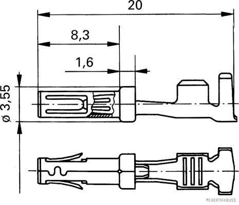 50253283_TZ.JPG