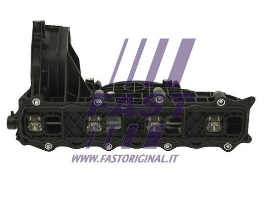 FT50408_2_1.JPG