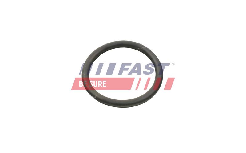 Tihend, jahutusvedelikutorustik, FAST FT49934