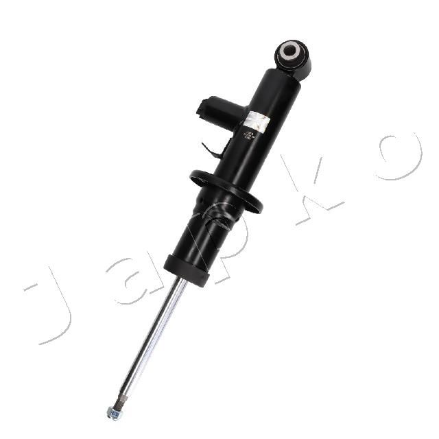 MJAS439_1.JPG
