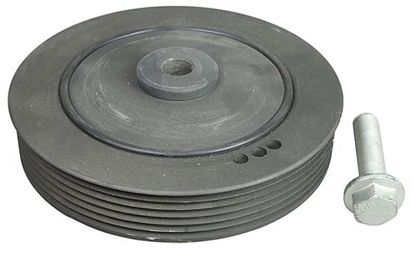 METZGER AUTOTEILE 6400006 - Alkūninio veleno skriemulys