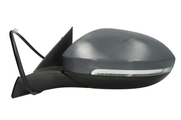 BLIC 5402-01-2555310P Exterior Mirror