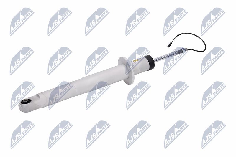 Amort, NTY A-MA-003